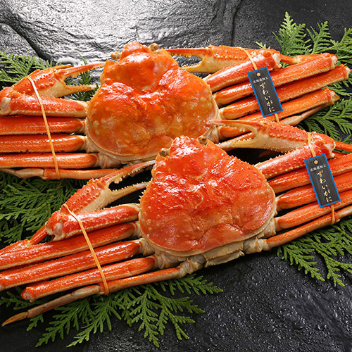 ロシア産　北海道加工ボイルずわいがに 2杯 1.6kg