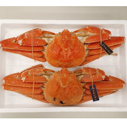 ロシア産　北海道加工ボイルずわいがに 2杯 1.6kg