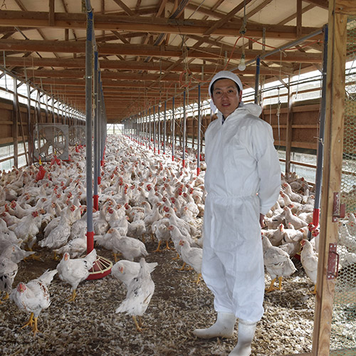 ＜福栄組合＞はかた地どり鍋
