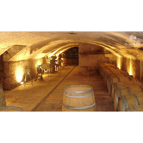 【送料当社負担】ビジネスクラス採用シャンパーニュ入り！シャンパン製法スパークリングワイン フランス周遊5本セット