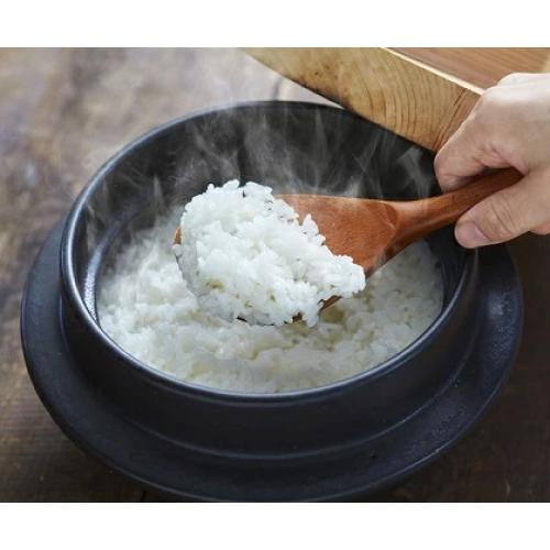 ＜ANA FINDS＞北海道美唄産「彩」　4kg