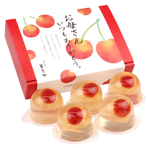 【母の日】カーネーション鉢＆さくらんぼのゼリー【受注締め切り日：2026/4/29】