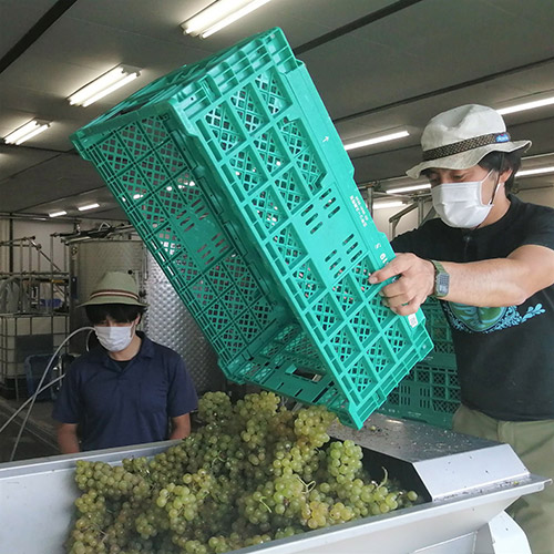 ＜南三陸ワイナリー＞（ギフトボックス入り）芳醇ワイン2本セット