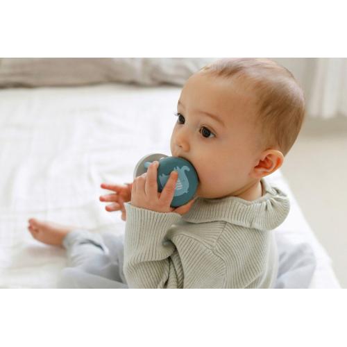 ＜PolarB＞ラトル／ぞう