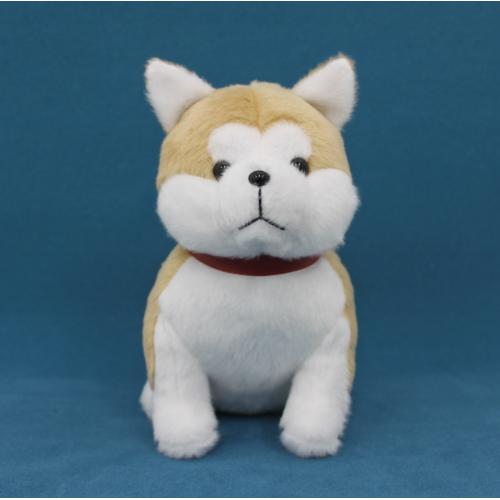 ＜大館能代空港＞秋田犬ぬいぐるみ
