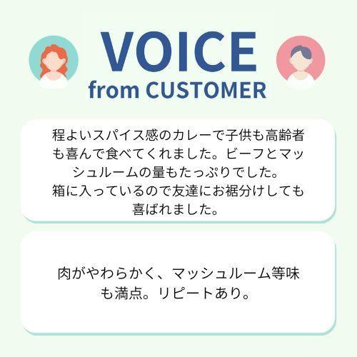 ＜ANAオリジナル＞ビーフコンソメスープを使ったとびっきりカレー ９個