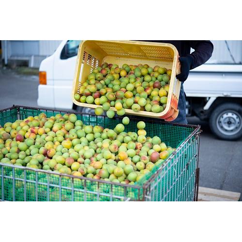 ＜若狭三方ビバレッジ＞微糖梅酒　BENICHU20°