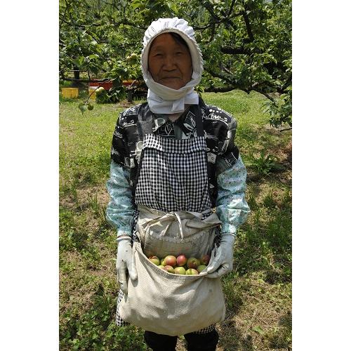 ＜若狭三方ビバレッジ＞微糖梅酒　BENICHU20°