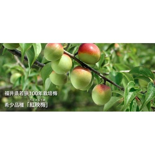 ＜若狭三方ビバレッジ＞無糖梅酒BENICHU38【福井県】