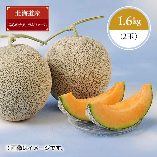 ＜北海道富良野＞ふらのナチュラルファーム神野メロン1.6kg×2玉【受注締め切り日：2026/8/5】