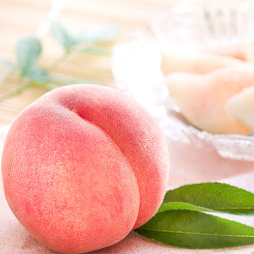 【ご自宅用】＜福島県産＞白桃あかつき2.0kg【受注締め切り日：2026/7/24】