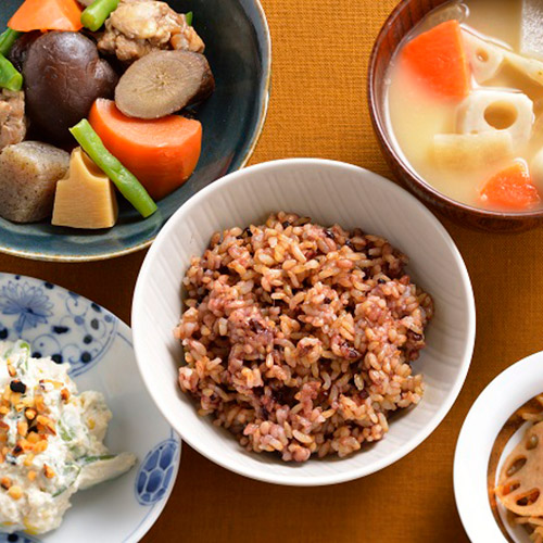 発酵のちから　糀入りもちもち玄米 24パック（オリジナルレシピ付き）