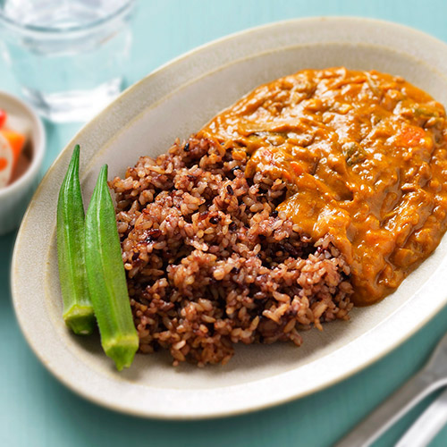 発酵のちから　糀入りもちもち玄米 24パック（オリジナルレシピ付き）