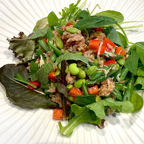 発酵のちから　糀入りもちもち玄米 24パック（オリジナルレシピ付き）