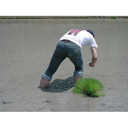 ＜利守酒造＞RedRock　純米大吟醸 2本セット