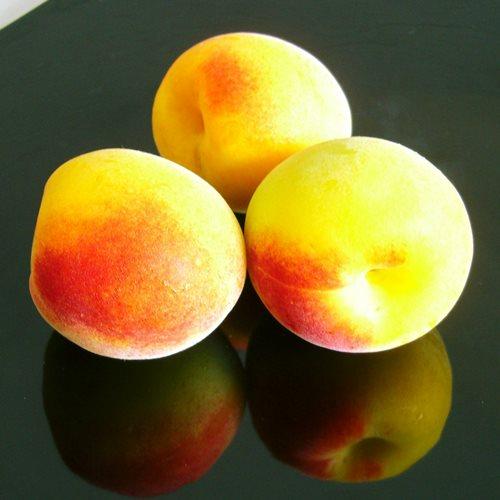 【和歌山県】＜勝僖梅＞ご飯の友セット（甘仕立て550g）