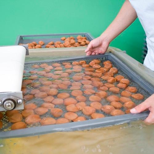 ＜勝僖梅＞はちみつ仕立て極　20包セット