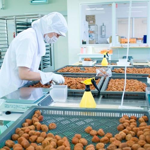 ＜勝僖梅＞はちみつ仕立て極　12包セット