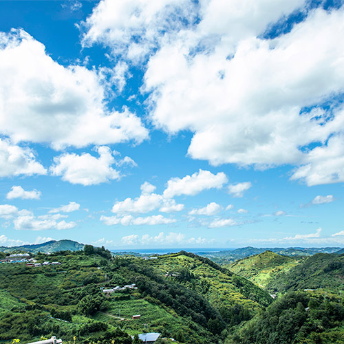 ＜濱田＞梅酒HAMADA Black&White 2本セット