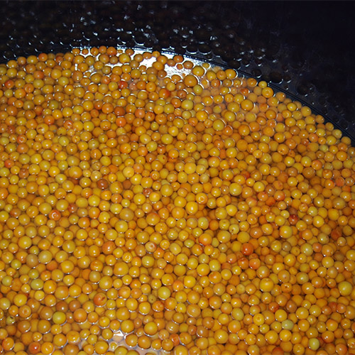 ＜濱田＞梅酒HAMADA Black&White 2本セット