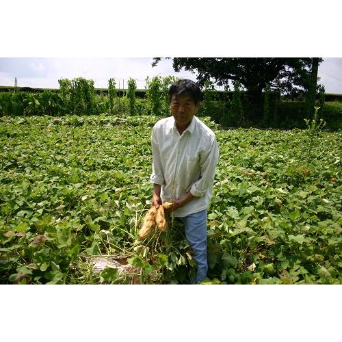 ★国際線ビジネスクラス搭載★＜川越＞本格芋焼酎2本セット