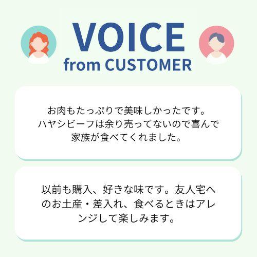 ＜ANAオリジナル＞ビーフコンソメスープを使ったとびっきりハヤシビーフ 17個