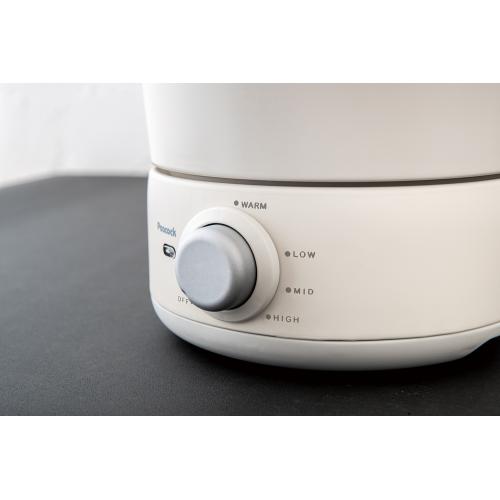 ＜ピーコック＞テーブルフライヤー