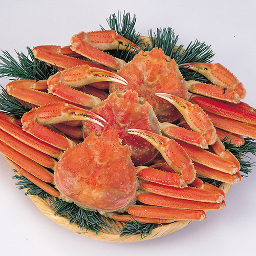 【ご自宅用】ボイルずわいがに3尾