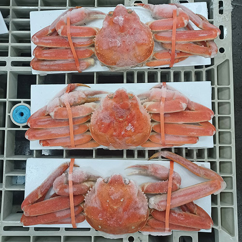 【ご自宅用】ボイルずわいがに3尾