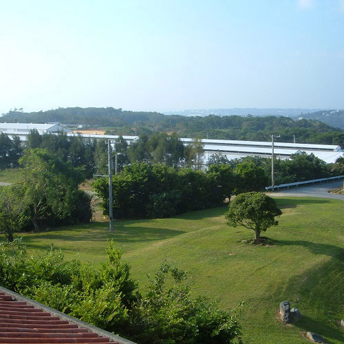 沖縄もとぶ牧場もとぶ牛霜降りサーロインステーキ