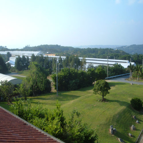 ＜もとぶ牧場＞もとぶ牛クラシタスライス・焼肉セット