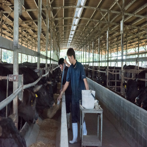 ＜もとぶ牧場＞もとぶ牛クラシタスライス・焼肉セット