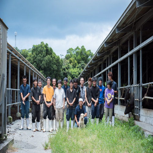 ＜もとぶ牧場＞もとぶ牛クラシタスライス・焼肉セット