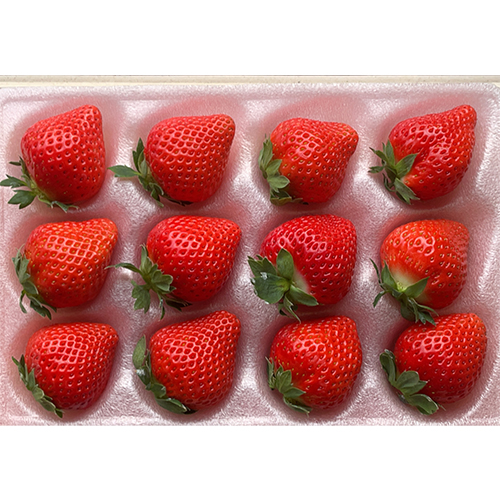 ＜宮崎県産＞ご自宅向け いちごファミリーパック品S赤【受注締め切り日：2026/4/30】