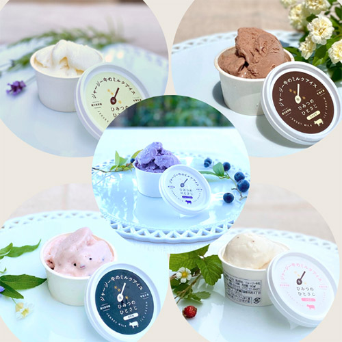 ＜ひみつのひとさじ・数量限定＞　ジャージー牛のミルクアイス