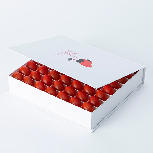 OSMIC FIRST PRINCESS