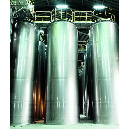 ＜瑞泉＞おもろ10年