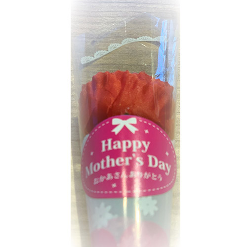 【母の日】お母さんありがとう「宮崎マンゴー2L×2玉」特選化粧箱ギフト（小花付き）【受注締め切り日：2026/4/30】