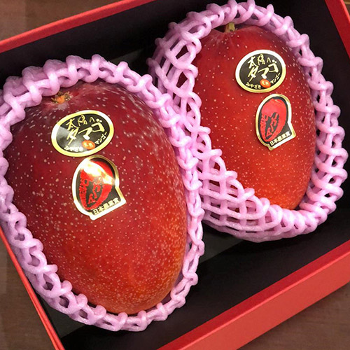 【母の日】お母さんありがとう「太陽のたまご2玉」特選化粧箱ギフト（小花付き）【受注締め切り日：2026/4/30】