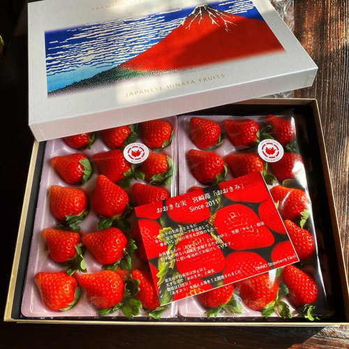 【母の日】お母さんありがとう 春苺「博多苺2種」PREMIUMHOKUSAIGIFT（小花付き）【受注締め切り日：2026/4/30】