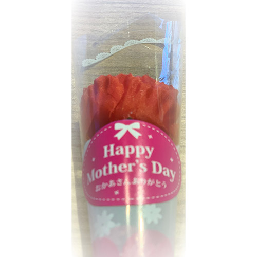 【母の日】お母さんありがとう 春苺「博多苺2種」PREMIUMHOKUSAIGIFT（小花付き）【受注締め切り日：2026/4/30】