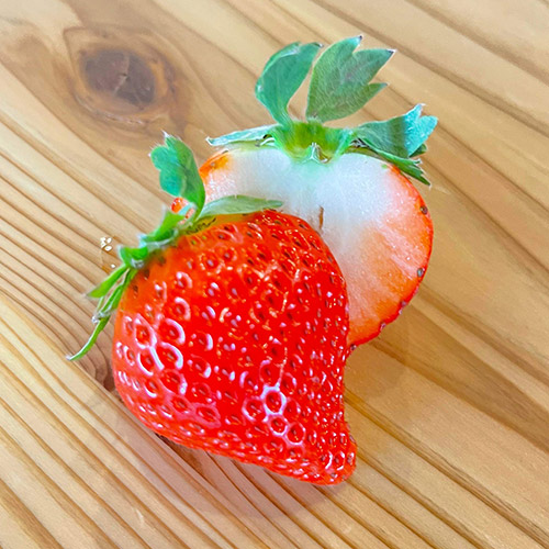 【母の日】お母さんありがとう 春苺「おおきな実のおおきみ苺」＋「白苺の天使の苺」GIFT（小花付き）【受注締め切り日：2026/4/30】