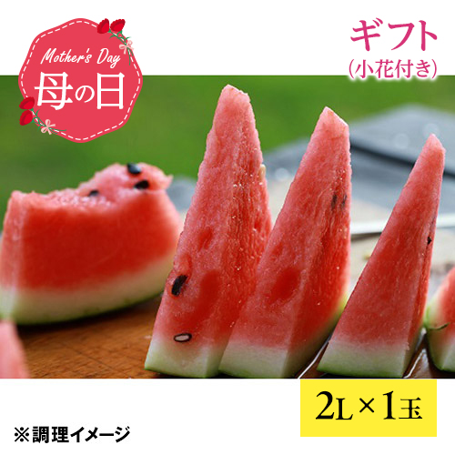 【母の日】お母さんありがとう特選商品「熊本すいか」【受注締め切り日：2026/4/30】