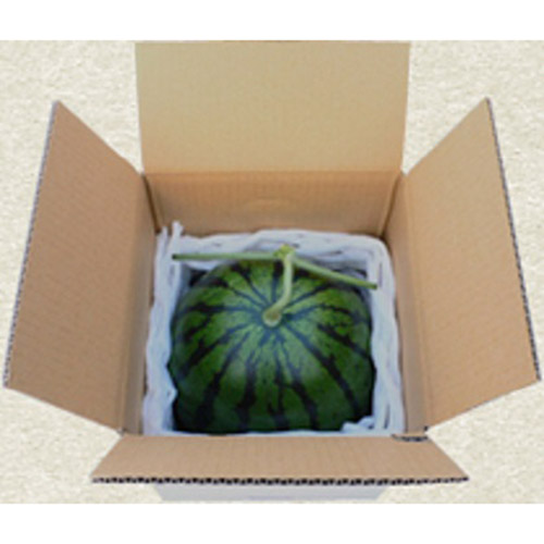 【母の日】お母さんありがとう特選商品「熊本すいか」【受注締め切り日：2026/4/30】