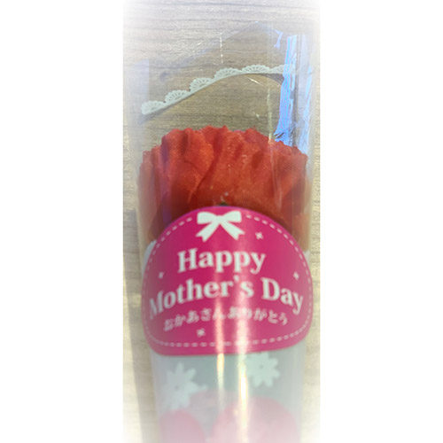 【母の日】お母さんありがとう特選商品「熊本すいか」【受注締め切り日：2026/4/30】