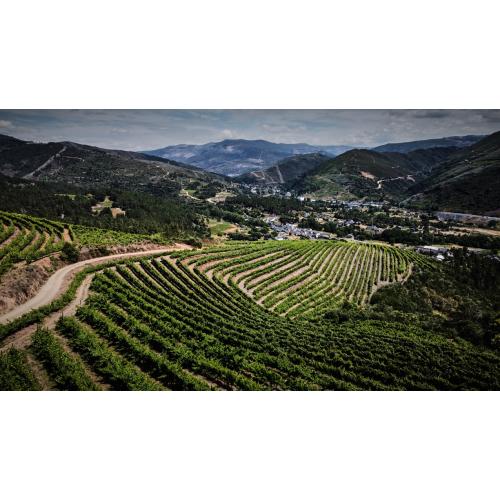 【送料当社負担】★数量限定★ワイングラス付き＜クネ＞北スペイン入門におススメ！銘醸地赤白6本セット