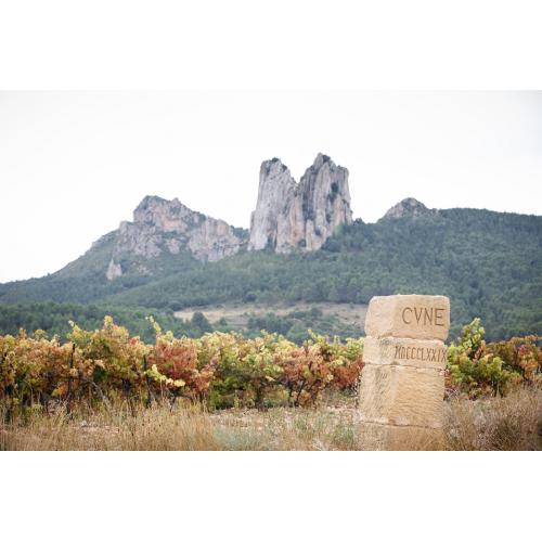 【送料当社負担】★数量限定★ワイングラス付き＜クネ＞北スペイン入門におススメ！銘醸地赤白6本セット