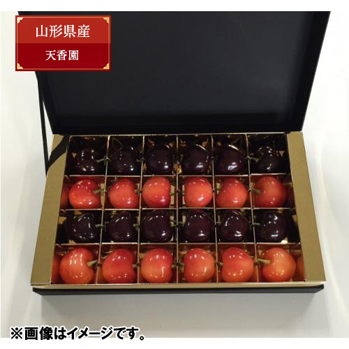 ＜天香園＞山形県産ブラックダイヤ®・プラチナレッド® 箱詰め24粒【受注締め切り日：2026/6/28】