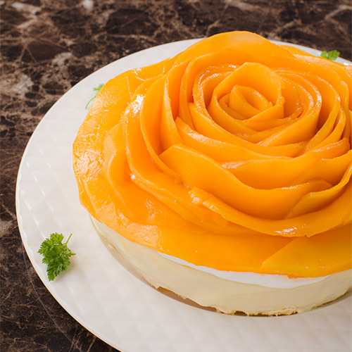 ＜宮崎県産＞MAGRI　シャトーマンゴー3L1玉【受注締め切り日：2026/7/10】