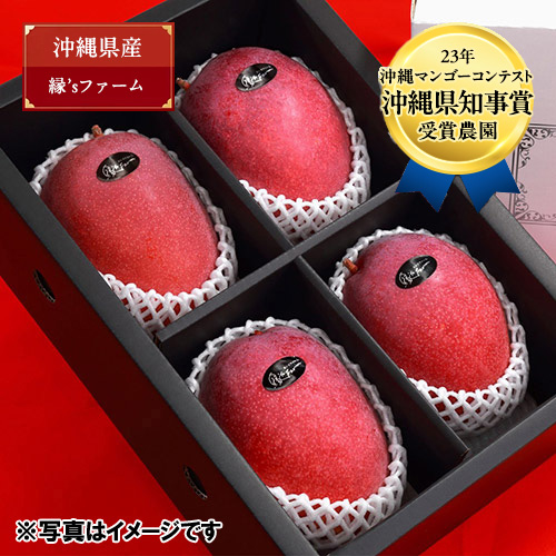 ＜縁’sファーム＞沖縄県産マンゴー秀品2kg（4～5玉）【受注締め切り日：2026/7/10】